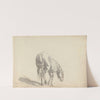 Fourty-three Studies of Horses and Riders Pl.02 by Sawrey Gilpin