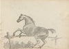 Fourty-three Studies of Horses and Riders Pl.05