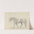 Fourty-three Studies of Horses and Riders Pl.10 by Sawrey Gilpin