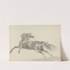 Fourty-three Studies of Horses and Riders Pl.11 by Sawrey Gilpin
