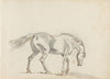 Fourty-three Studies of Horses and Riders Pl.12