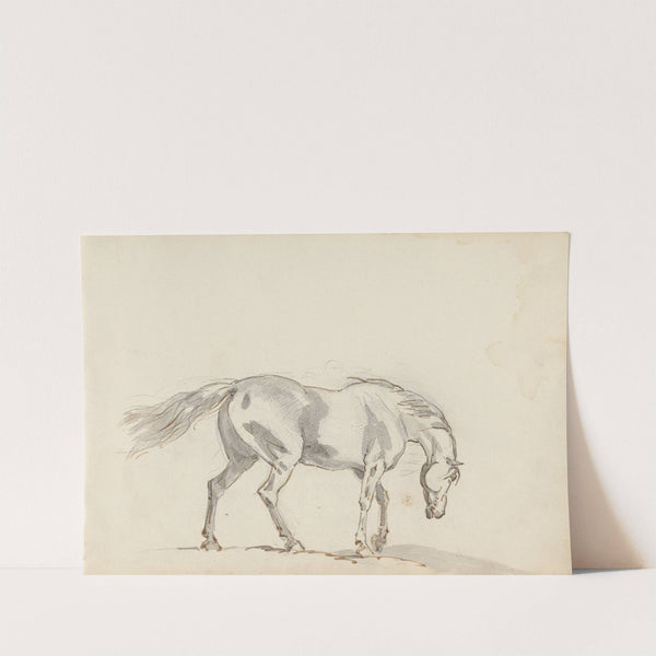 Fourty-three Studies of Horses and Riders Pl.12 by Sawrey Gilpin