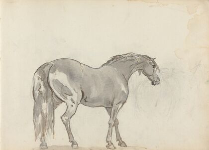 Fourty-three Studies of Horses and Riders Pl.13