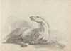 Fourty-three Studies of Horses and Riders Pl.17