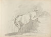 Fourty-three Studies of Horses and Riders Pl.20