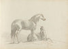 Fourty-three Studies of Horses and Riders Pl.21