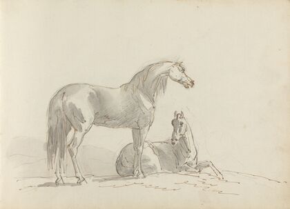 Fourty-three Studies of Horses and Riders Pl.21