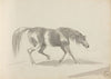 Fourty-three Studies of Horses and Riders Pl.22
