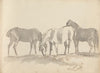 Fourty-three Studies of Horses and Riders Pl.23