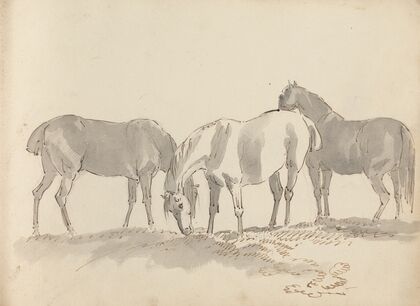Fourty-three Studies of Horses and Riders Pl.23