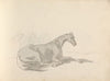 Fourty-three Studies of Horses and Riders Pl.24