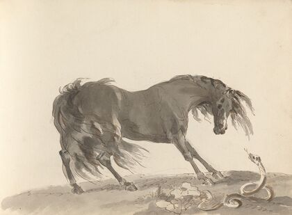 Fourty-three Studies of Horses and Riders Pl.25