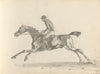 Fourty-three Studies of Horses and Riders Pl.26