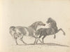 Fourty-three Studies of Horses and Riders Pl.29