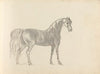 Fourty-three Studies of Horses and Riders Pl.31