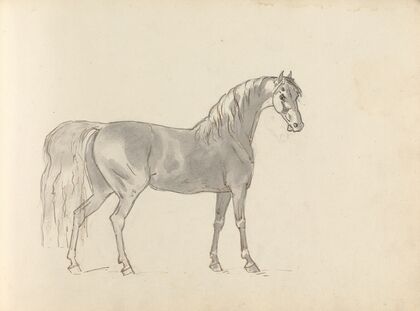 Fourty-three Studies of Horses and Riders Pl.31
