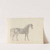 Fourty-three Studies of Horses and Riders Pl.31 by Sawrey Gilpin