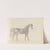 Fourty-three Studies of Horses and Riders Pl.31 by Sawrey Gilpin