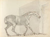 Fourty-three Studies of Horses and Riders Pl.32