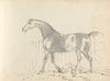 Fourty-three Studies of Horses and Riders Pl.33
