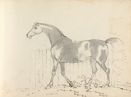Fourty-three Studies of Horses and Riders Pl.33