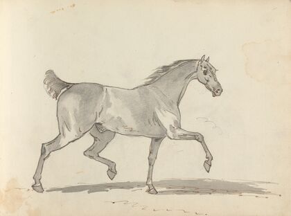 Fourty-three Studies of Horses and Riders Pl.34