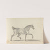 Fourty-three Studies of Horses and Riders Pl.34 by Sawrey Gilpin