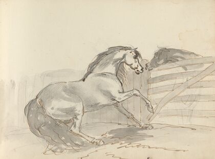 Fourty-three Studies of Horses and Riders Pl.36