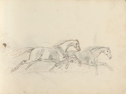 Fourty-three Studies of Horses and Riders Pl.37