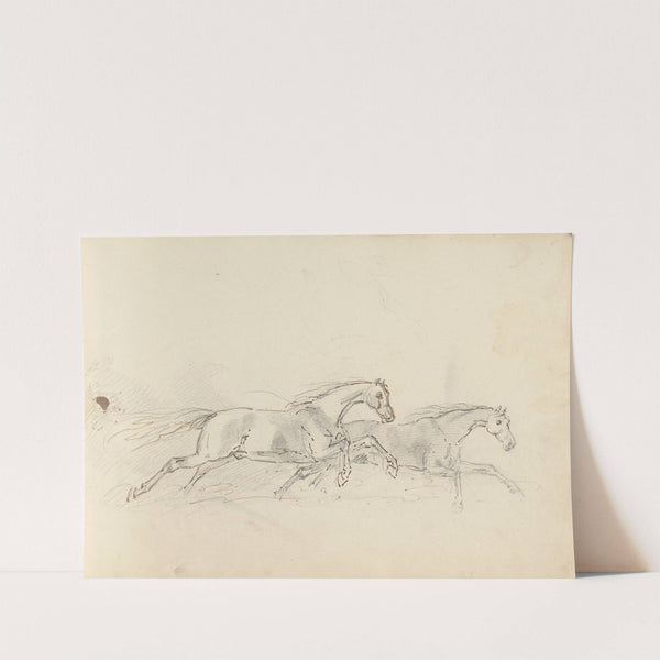 Fourty-three Studies of Horses and Riders Pl.37 by Sawrey Gilpin