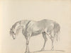 Fourty-three Studies of Horses and Riders Pl.39