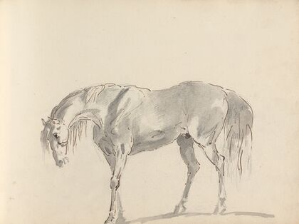 Fourty-three Studies of Horses and Riders Pl.39