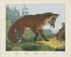 Fox (1829-1880)