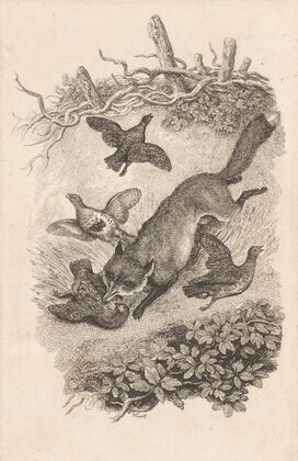 Fox and Partridges (1818)