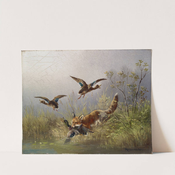 Fox Chasing Ducks by Moritz Müller