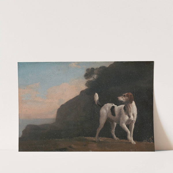 Foxhound (ca. 1760) by George Stubbs