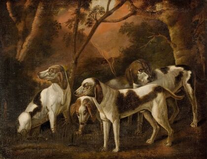 Foxhounds