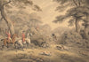 Foxhunting; Breaking Cover