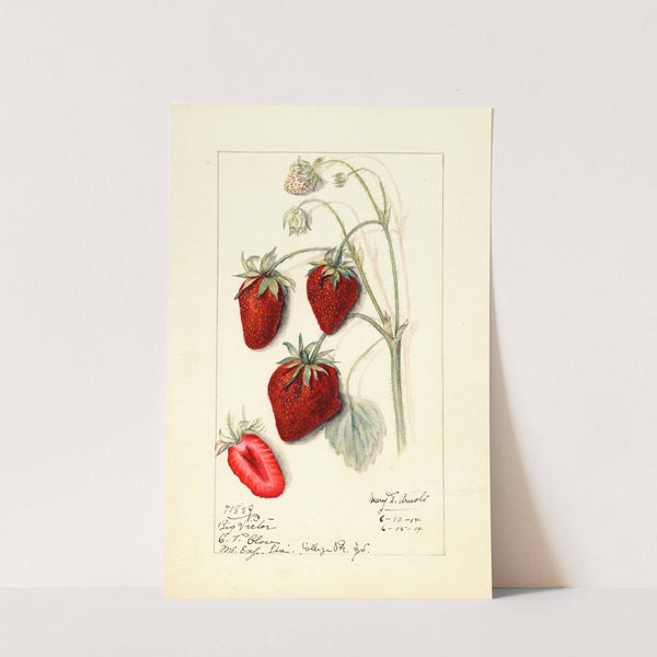 Fragaria: Big Victor by Mary Daisy Arnold