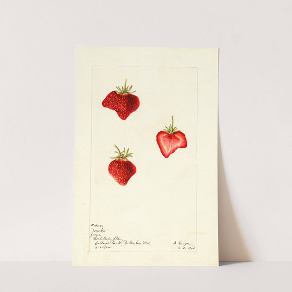 Fragaria: Meeks by Bertha Heiges