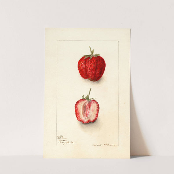 Fragaria: Monett by Deborah Griscom Passmore