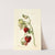 Fragaria: Timbrell by Deborah Griscom Passmore