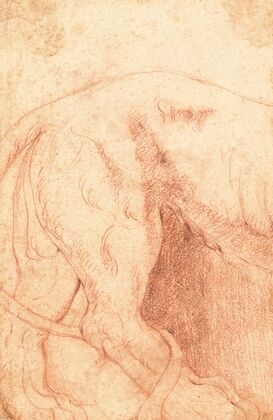 Fragment of a Lion Bas-Relief (verso)