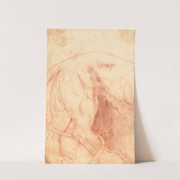 Fragment of a Lion Bas-Relief (verso) by Giovanni Battista Piranesi