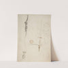 Fragmentary Sketches of Various Ornament by Giovanni Battista Natali III