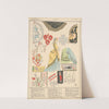 France - Materials by Paul Louis de Giafferri
