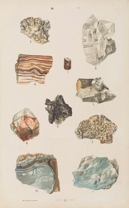 Wielki atlas do zoologii, botaniki i mineralogii Pl.117 (1887)