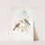 Fringilla cælebs. Chaffinch. (1862-1873) by John Gould
