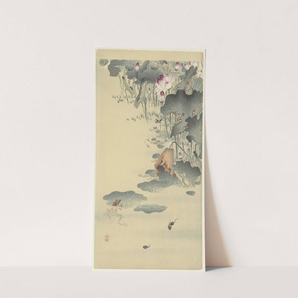 Frog and tadpoles by Ohara Koson