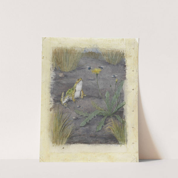 Frog by a Dandelion with Flies by Jan van Oort